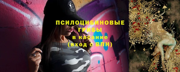 дмт Аркадак