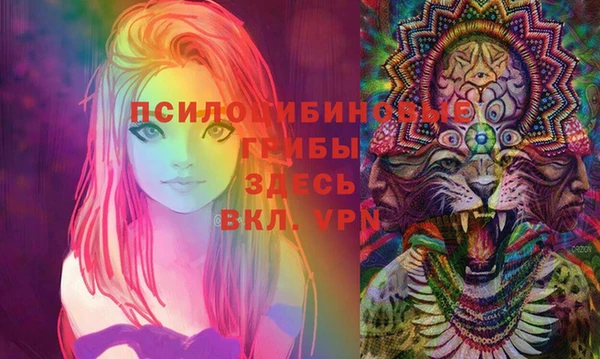 бутират Арсеньев