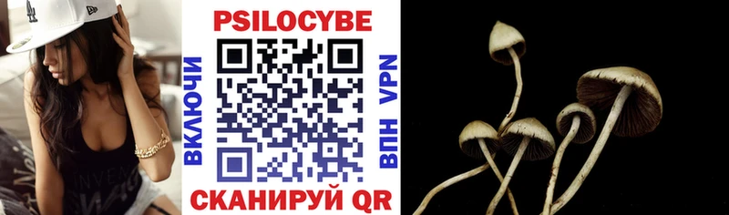 Галлюциногенные грибы Cubensis  Купить  Топки 